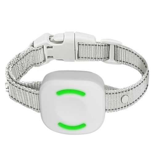 IP67 Waterproof Electric Dog Training Collar Rechargeable Dog Receiver with Light Beep Vibration Shock Fit for All Dogs 10-150LBS IP67 Waterproof Electric Dog Training Collar Rechargeable Dog Receiver with Light Beep Vibration Shock Fit for All Dogs 10-150LBS
